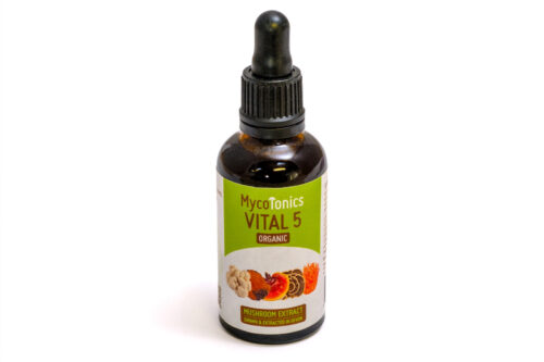 Vital 5 Mushroom Extract Tincture 50ml - MycoTonics