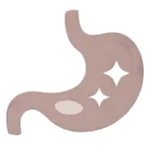 Digestive & Gut Support